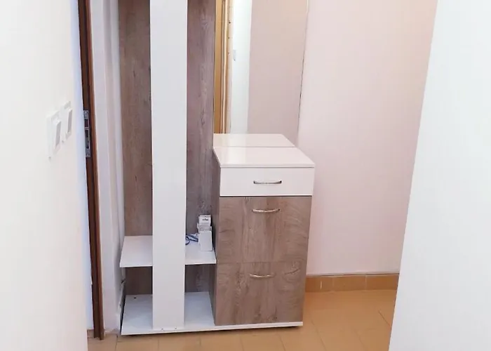 за братя миладинови 1 *