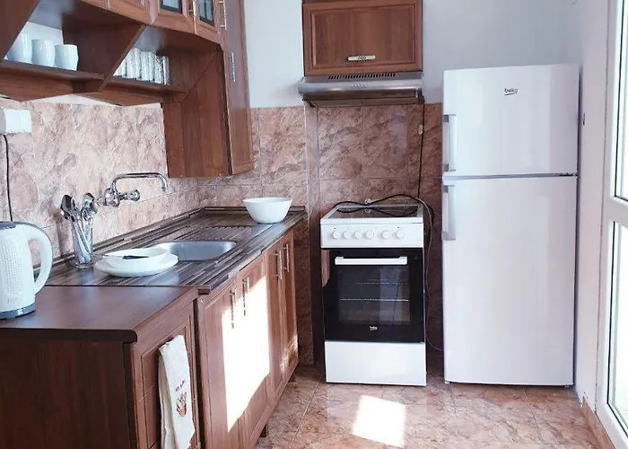 за братя миладинови 1